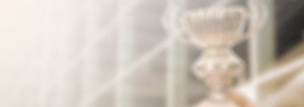 色多多视频污器厂家企业荣誉