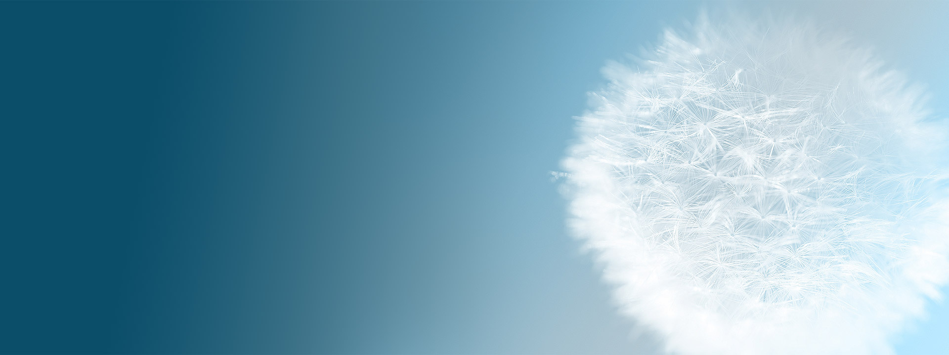 色多多视频污器厂家社会责任